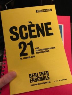 Der Sturz der Kometen und der Kosmonauten (D)